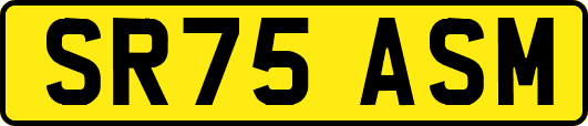 SR75ASM