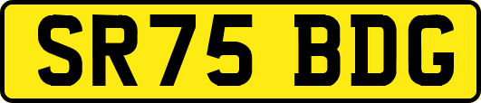 SR75BDG