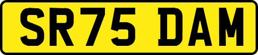 SR75DAM