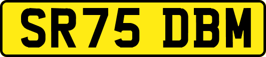 SR75DBM