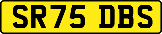 SR75DBS