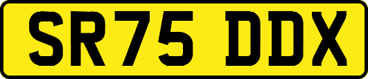 SR75DDX