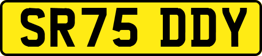 SR75DDY