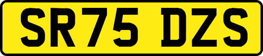 SR75DZS