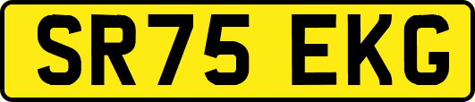 SR75EKG