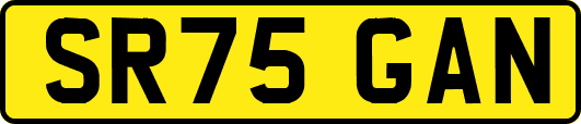 SR75GAN