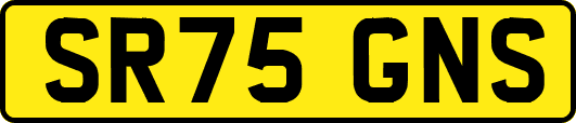 SR75GNS