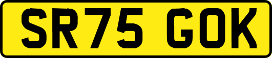 SR75GOK