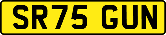 SR75GUN