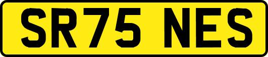 SR75NES