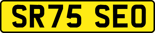 SR75SEO