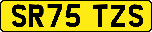 SR75TZS