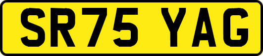 SR75YAG