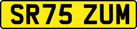 SR75ZUM