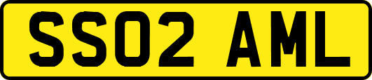 SS02AML
