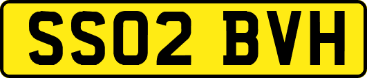 SS02BVH