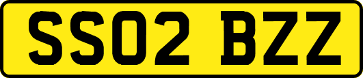 SS02BZZ