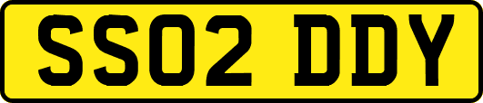 SS02DDY