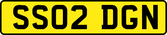 SS02DGN