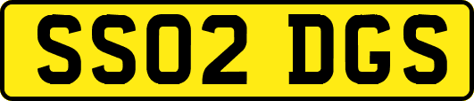 SS02DGS
