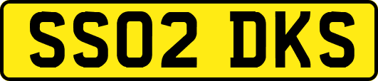 SS02DKS