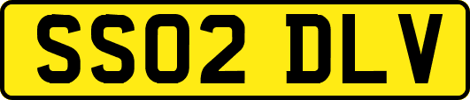SS02DLV