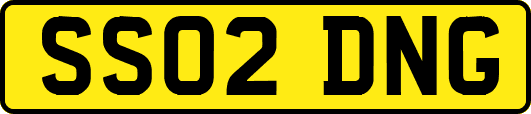 SS02DNG