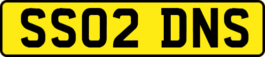 SS02DNS