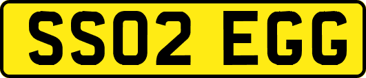 SS02EGG