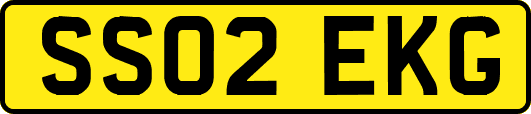 SS02EKG