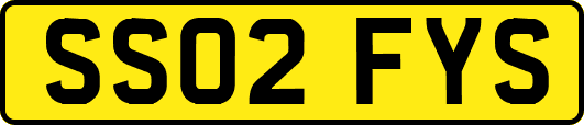 SS02FYS