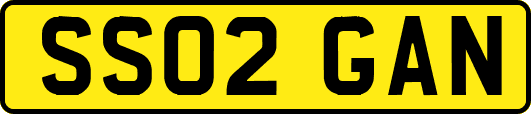 SS02GAN