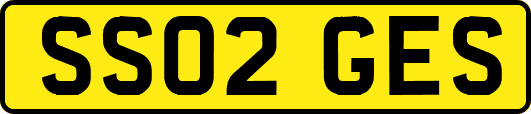 SS02GES