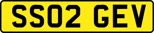 SS02GEV