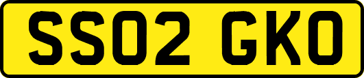 SS02GKO