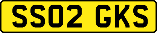 SS02GKS