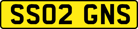SS02GNS