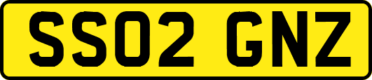 SS02GNZ