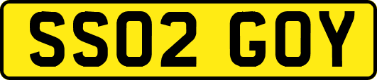 SS02GOY