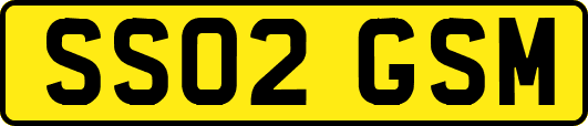 SS02GSM