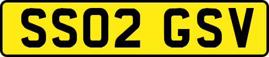 SS02GSV
