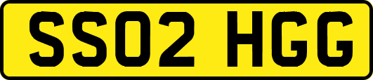 SS02HGG