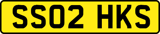 SS02HKS