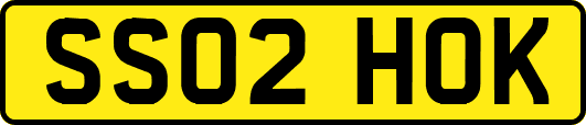 SS02HOK