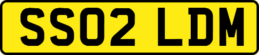 SS02LDM