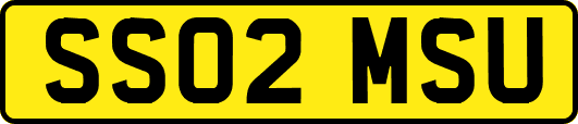 SS02MSU