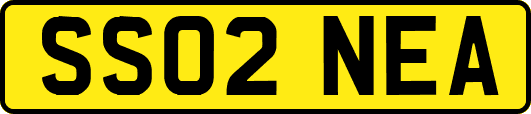 SS02NEA