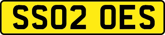 SS02OES