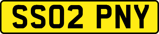 SS02PNY