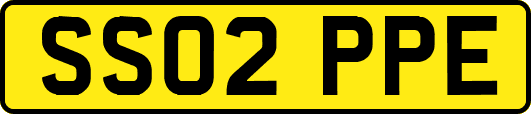 SS02PPE